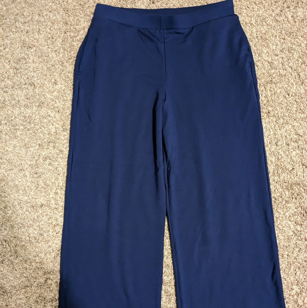 Wide Leg Pull-On Pants in Navy
